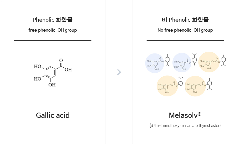 안전한 미백 구현을 위한 노력, 멜라솔브