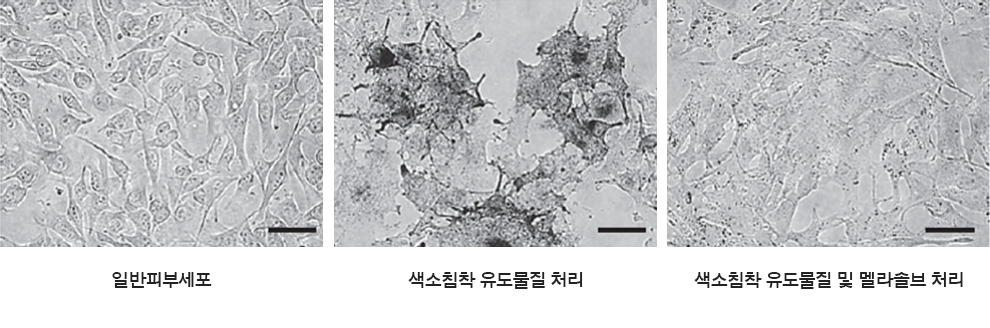 안전한 미백 구현을 위한 노력, 멜라솔브