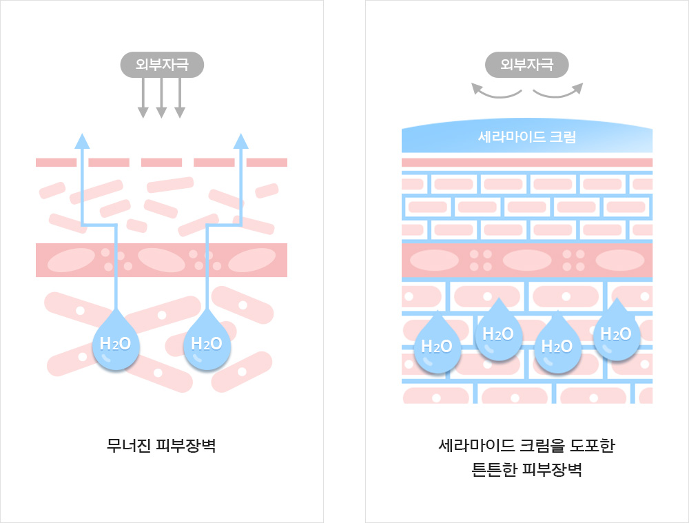 피부 효능 성분 세라마이드를 모사한 보습 성분 PC-104